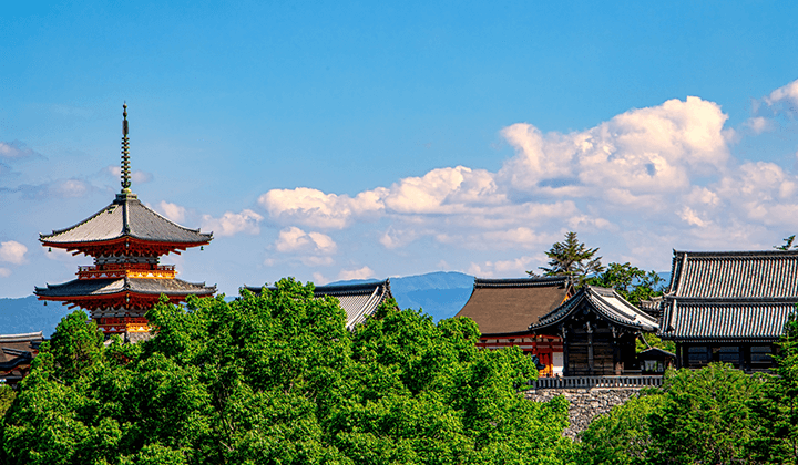 075番号が利用できる対象地域